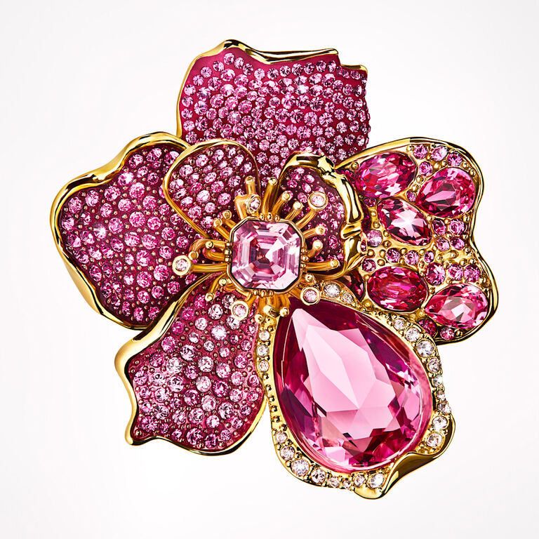 Image without a name  Image without a name