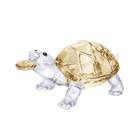 Tortoise