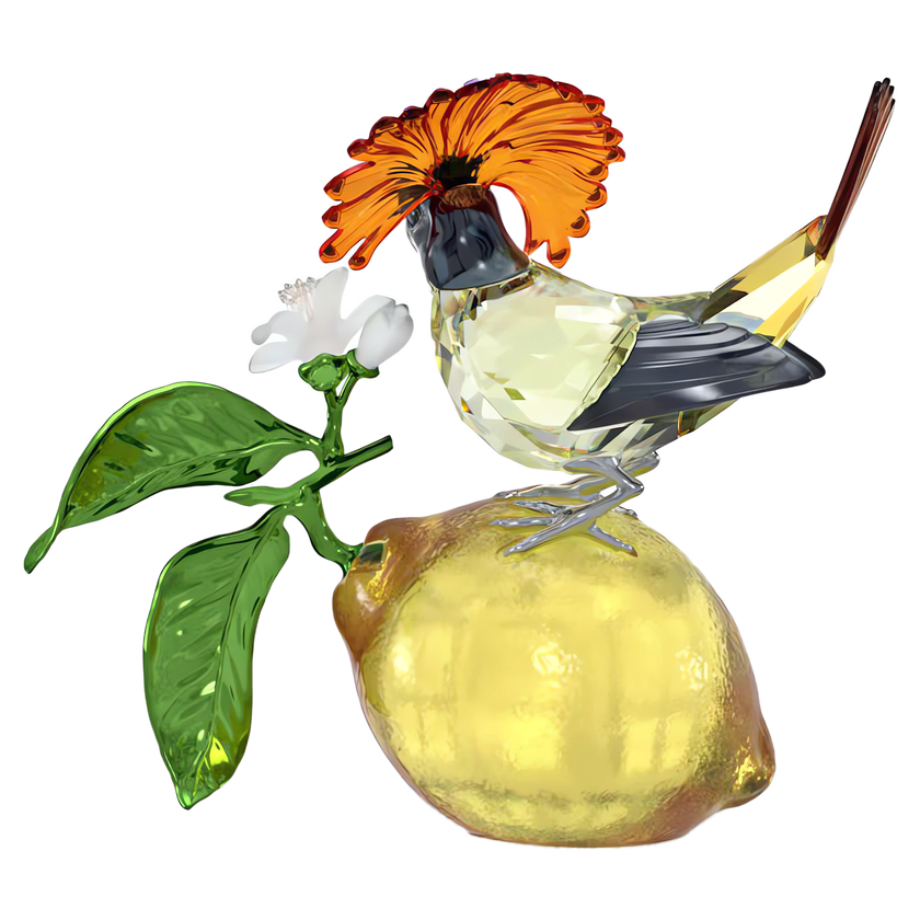swarovski idyllia royal flycatcher