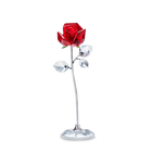 Flower Dreams  - Red Rose