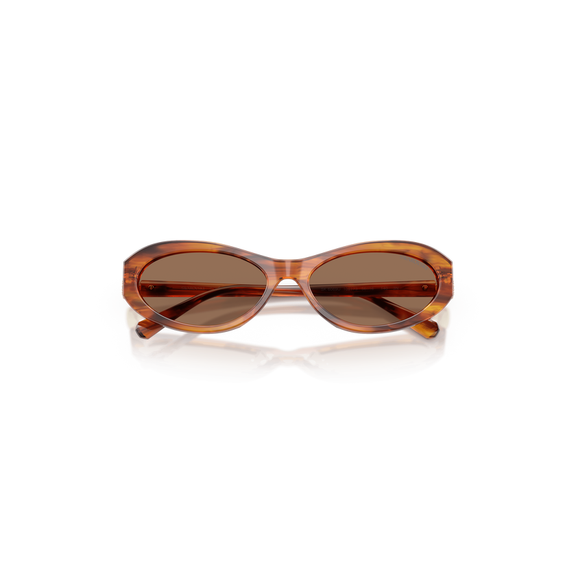 swarovski sunglasses  oval shape  sk6069  havana