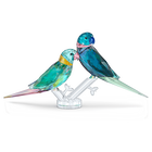 swarovski jungle beats parakeet couple fife fifer