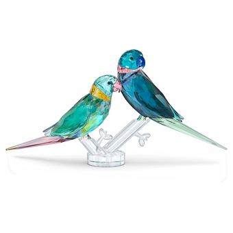 swarovski jungle beats parakeet couple fife   fifer