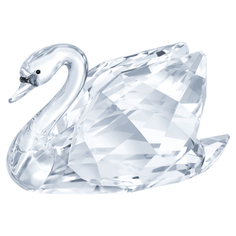 Feathered Beauties Swan