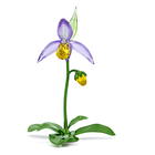 swarovski florere lady slipper orchid