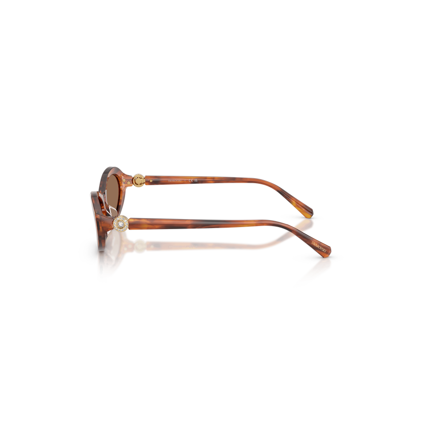 swarovski sunglasses  oval shape  sk6069  havana