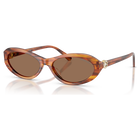 swarovski sunglasses  oval shape  sk6069  havana