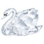 Swan, Small