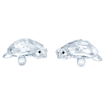 swarovski peaceful countryside baby tortoises