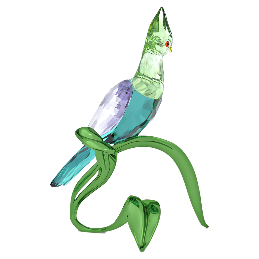 swarovski idyllia green turaco