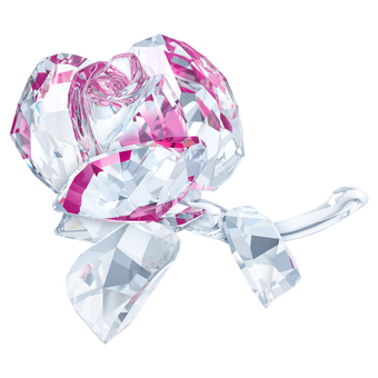 swarovski in the secret garden blossoming rose