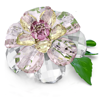 swarovski florere camellia