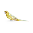 Jungle Beats Yellow Parakeet Lechee