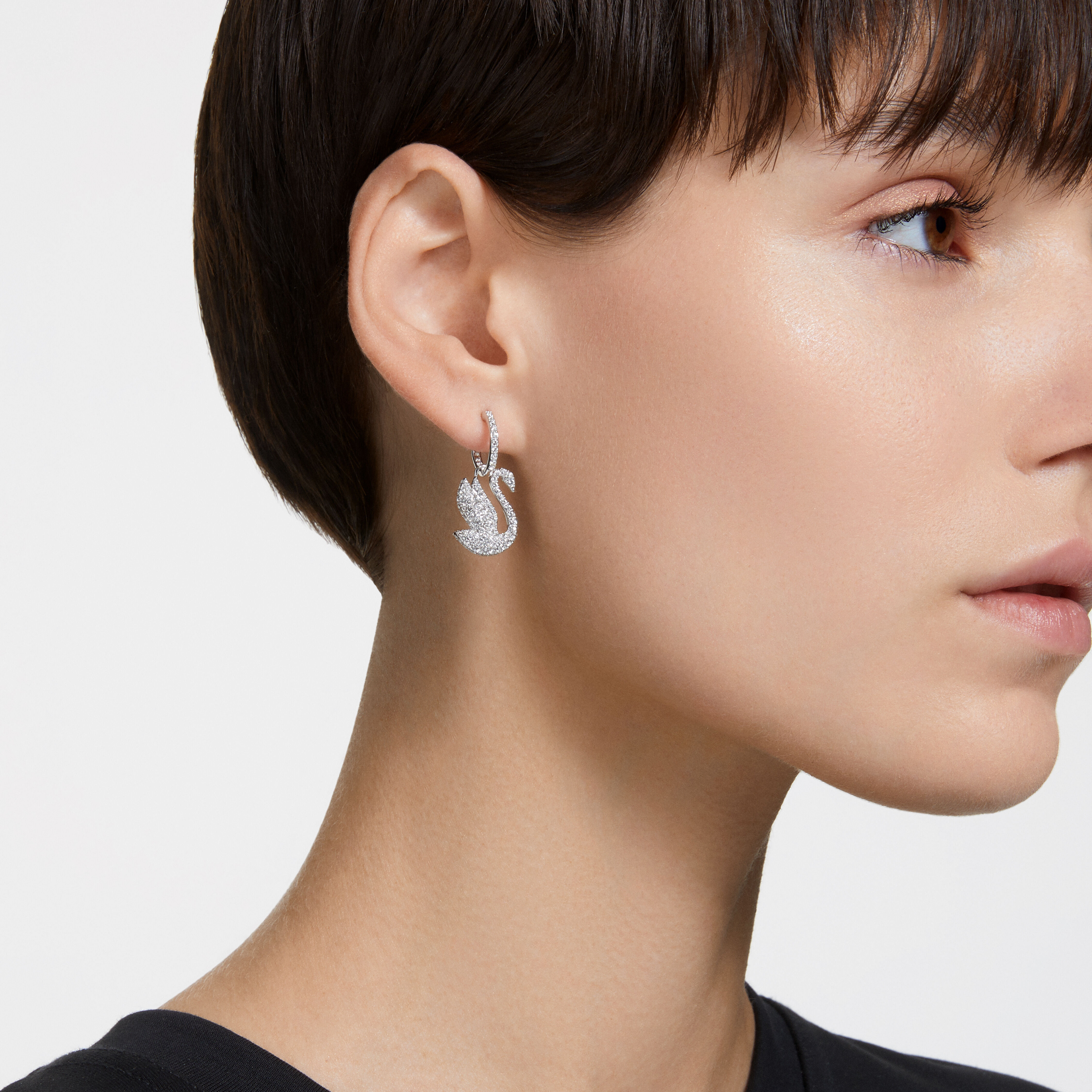 Iconic swan shop earrings swarovski