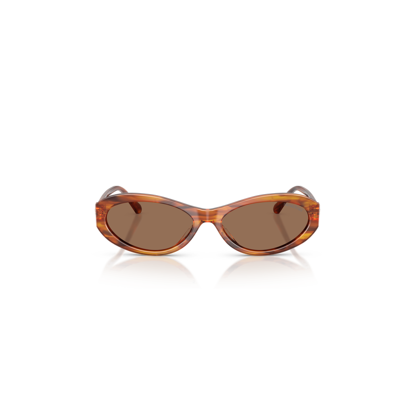 swarovski sunglasses  oval shape  sk6069  havana