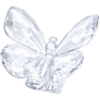 Butterfly on Leaf