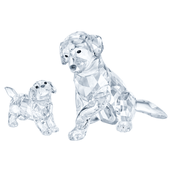 Peaceful Countryside Labrador Family