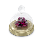 Garden Tales Rose Bell Jar, Small