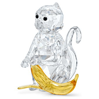 Rare Encounters Monkey With Banana