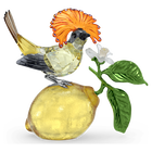 swarovski idyllia royal flycatcher