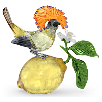swarovski idyllia royal flycatcher