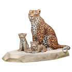 swarovski reka