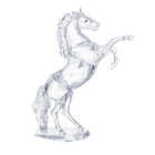 Stallion