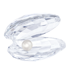 Shell With Pearl, Small