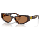 swarovski sunglasses  cat eye shape  sk6045  brown
