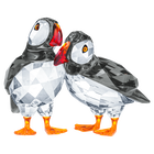 Atlantic Puffins