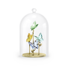 Jungle Beats Butterfly Bell Jar