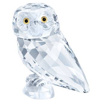 Peaceful Countryside Owlet
