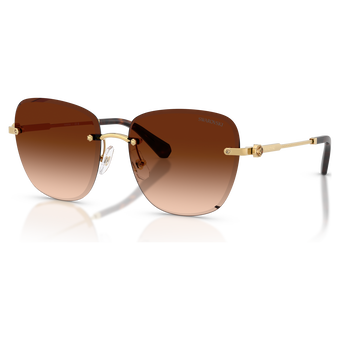 swarovski sunglasses  square shape  sk7043  brown