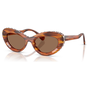 swarovski sunglasses  cat eye shape  sk6061u  brown