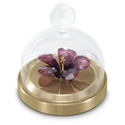 swarovski garden tales hibiscus bell jar small