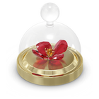 swarovski garden tales red poppy bell jar small