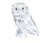 Owlet