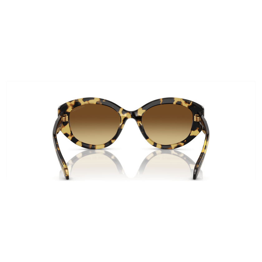 swarovski sunglasses  cat eye shape  sk6008el  brown