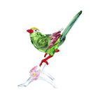 Green Magpie