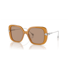 swarovski sunglasses oversized square shape sk6011el brown
