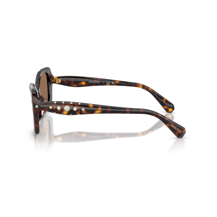 swarovski sunglasses  pillow shape  sk6058u  brown