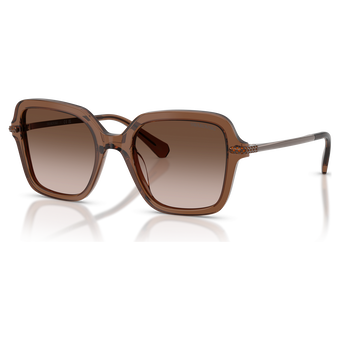 swarovski sunglasses square shape brown