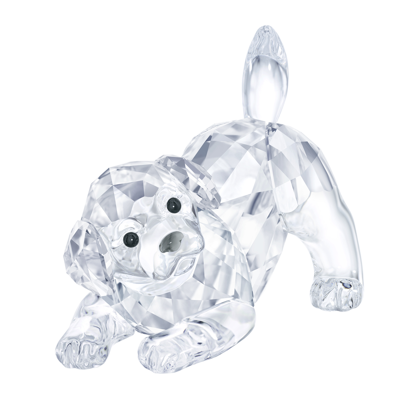 swarovski peaceful countryside labrador puppy