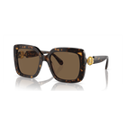 swarovski sunglasses oversized square shape sk6001 el sq brown