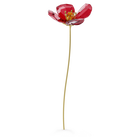 swarovski garden tales red poppy