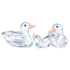 Ducks