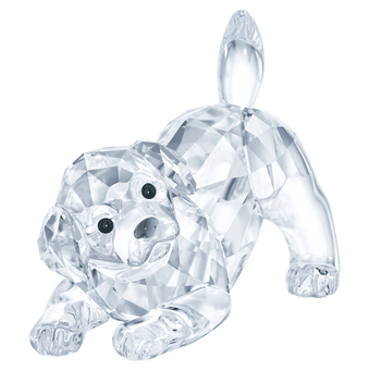 swarovski peaceful countryside labrador puppy