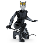 swarovski dc catwoman