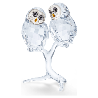 swarovski owl couple