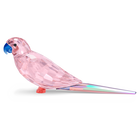 Jungle Beats Pink Parakeet Cha Cha